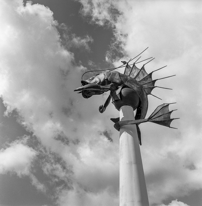 Barbican Prawn